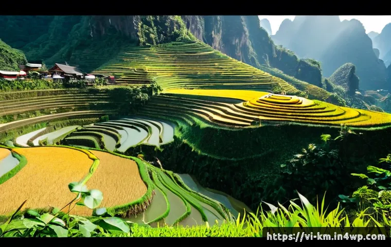 Vật linh luận dưới góc nhìn nhận thức luận hiện đại: Cách so sánh các hệ tri thức 4 애니미즘과 현대적 인식론 관련 이미지 2